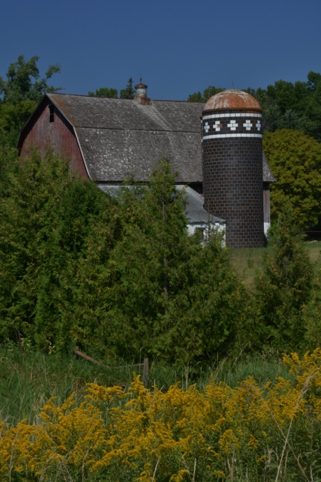along Highway 46, Rice County